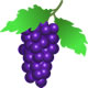 grapes